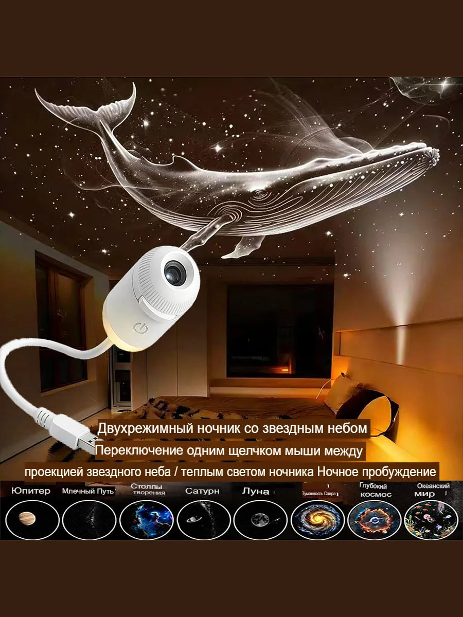 Sky Projector